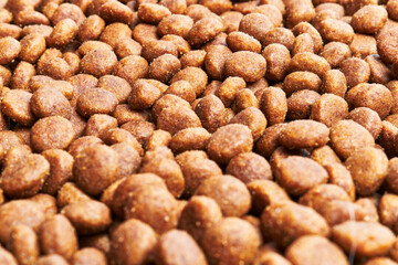  Delicious group of dog food balls texture