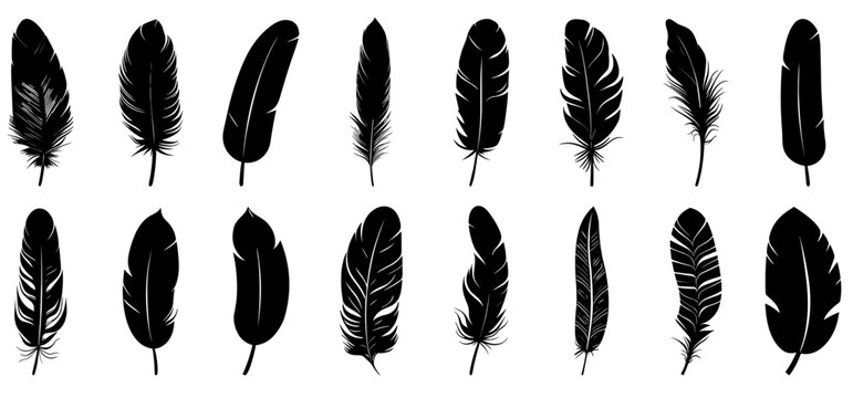 Fototapeta Feather black icon. Feather icons set. Various feathers.