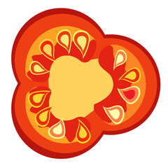 Tomato. Ingredients for pizza. Tomato inside, tomato slice. Red tomato. Vector drawing. Doodle for salad, Pizzeria and cafe.