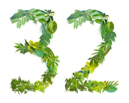 The shape of the number 32 is made of various kinds of leaves isolated on transparent background. suitable for birthday, anniversary and memorial day templates