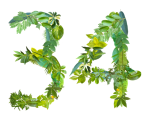 The shape of the number 34 is made of various kinds of leaves isolated on transparent background. suitable for birthday, anniversary and memorial day templates