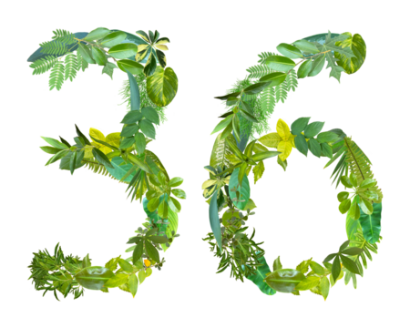 The shape of the number 36 is made of various kinds of leaves isolated on transparent background. suitable for birthday, anniversary and memorial day templates