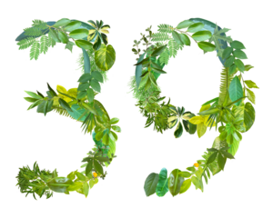 The shape of the number 39 is made of various kinds of leaves isolated on transparent background. suitable for birthday, anniversary and memorial day templates
