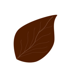 leaf isolated on white background