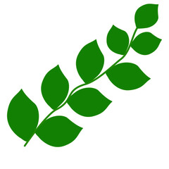 green leaves vector