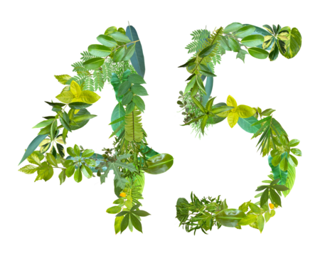 The shape of the number 45 is made of various kinds of leaves isolated on transparent background. suitable for birthday, anniversary and memorial day templates