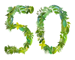 The shape of the number 50 is made of various kinds of leaves isolated on transparent background. suitable for birthday, anniversary and memorial day templates