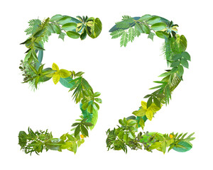 The shape of the number 52 is made of various kinds of leaves isolated on transparent background....
