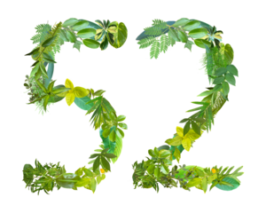 The shape of the number 52 is made of various kinds of leaves isolated on transparent background. suitable for birthday, anniversary and memorial day templates