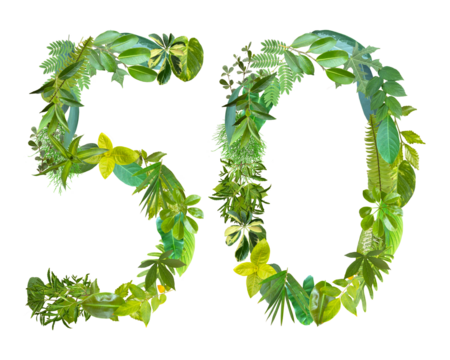 The shape of the number 50 is made of various kinds of leaves isolated on transparent background. suitable for birthday, anniversary and memorial day templates - Powered by Adobe