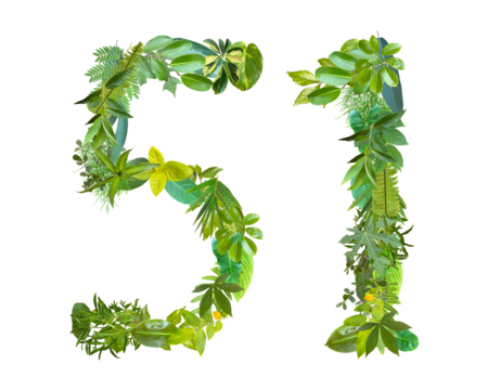 The shape of the number 51 is made of various kinds of leaves isolated on transparent background. suitable for birthday, anniversary and memorial day templates