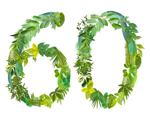 The shape of the number 60 is made of various kinds of leaves isolated on transparent background. suitable for birthday, anniversary and memorial day templates