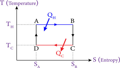 Carnot cycle acting as a heat engine, illustrated on a temperature-entropy diagram.Vector illustration.