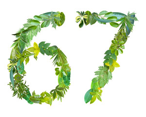 The shape of the number 67 is made of various kinds of leaves isolated on transparent background. suitable for birthday, anniversary and memorial day templates