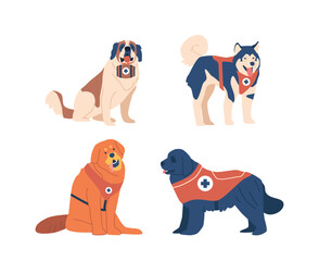 Avalanche Rescue Dogs Are Highly Trained Canines Specialized In Locating And Rescuing Victims. Their Keen Senses