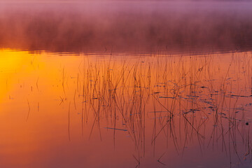 sunrise over the river fog