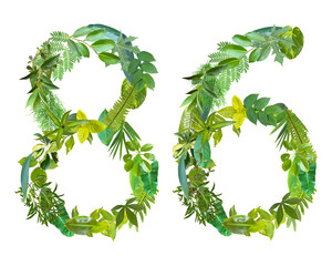 The shape of the number 86 is made of various kinds of leaves isolated on transparent background. suitable for birthday, anniversary and memorial day templates