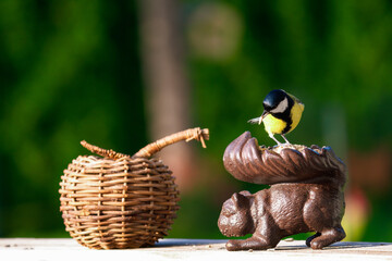a great tit, parus major, on a bird feeder at a sunny autumn morning
