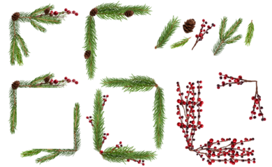 Frame fir branch, with branches of red berries holly, isolated png transparent. green spruce branch,  fir tree branch. Christmas frame 