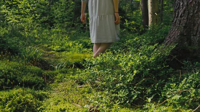 Elegant woman walking barefoot on moss in the forest in the early sunshine