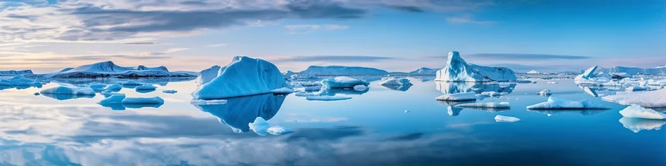Foto op Aluminium ice floes and icebergs in the arctic cold © Jorge Ferreiro