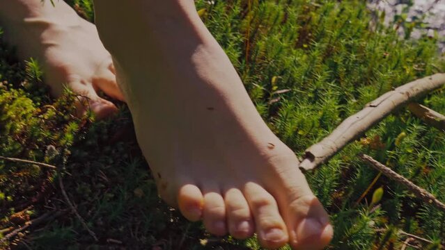 Woman in fir forest treads barefoot moss. Connectedness with nature in sunny weather next to river