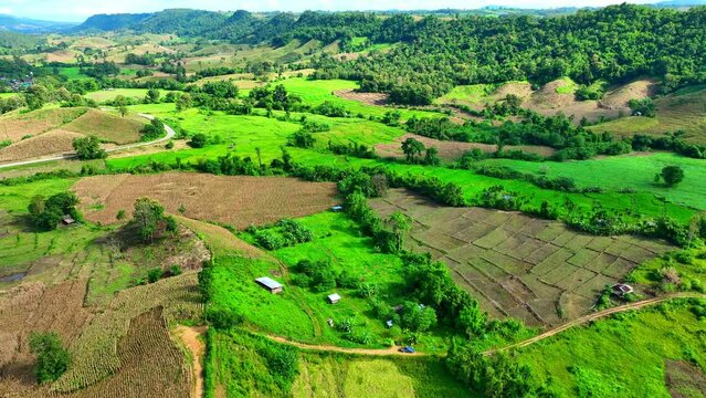 Drone's eye view captures the patchwork of vibrant crops on hilly terrain, painting a picturesque agricultural canvas. Agriculture concept. Thailand.

