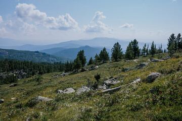Summer natural landscape. Stones and coniferous trees. hills stretching beyond the horizon.