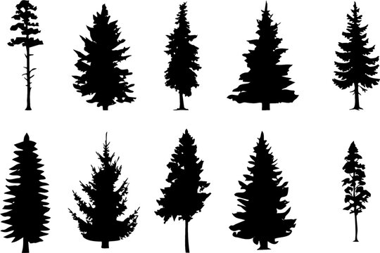 Different silhouettes of pine trees. Pine tree icons symbol of mountain area. Editable vector, easy to change color or size. eps 10.