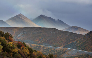 Autumn in polar tundra