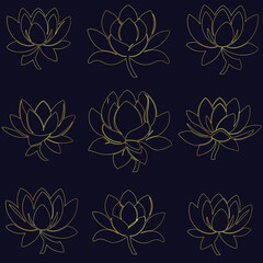Gold Lotus flower vector illustration design graphic outline art luxury floral line
