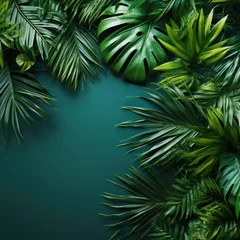 Fotobehang tropical leaves with copy space © ArtCookStudio