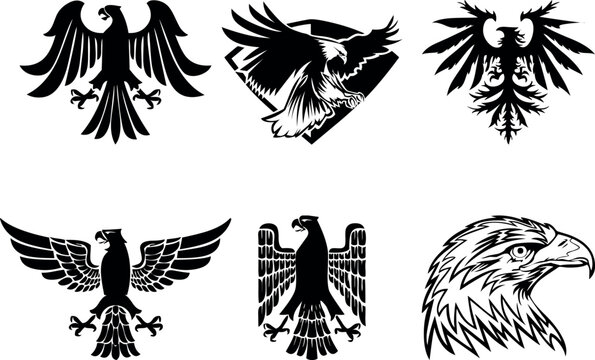 Hand drawn eMascot bird collection. signs for branding, head and wings of hawk or falcon for badge Set of isolated. Gothic royal emblem and company
