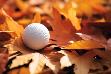 Raamstickers a golf ball on an autumn leaves © id512