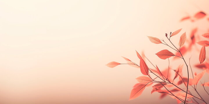 abstract gentle light beige background with a serene, calming vibe.