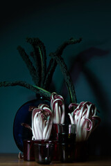 Design and food still life, Radicchio, salad, in dark moody light, art design food still life