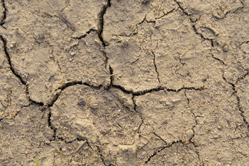 Texture of dried earth with cracks. Close-up.