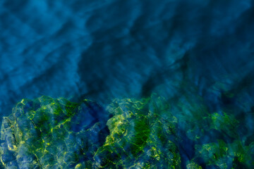 Steine und Felsen unter Wasser mit Algen oder Moos bedeckt. Natürlich reflektiertes Sonnenlicht.