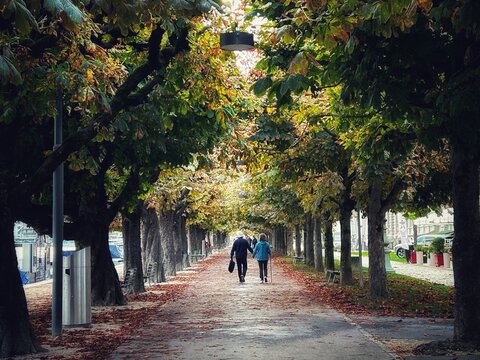 couple walking in the park autumn