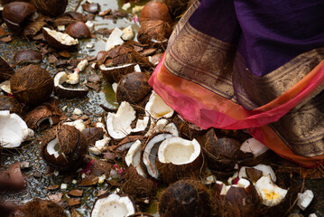 Woman in sari walking over broken coconuts lying on the ground at city street after coconut breaking ritual during  Festival of the god Ganesh. Conceptual safety abstract background.