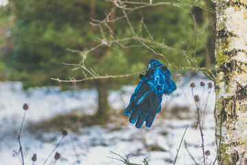 blue gloves on tree limb in the winter forest