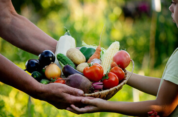 A woman and a boy are holding a basket with freshly picked organic vegetables
