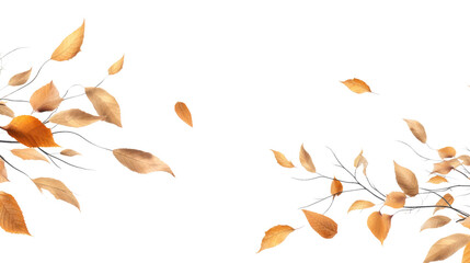 yellow leaves isolated on transparent background 