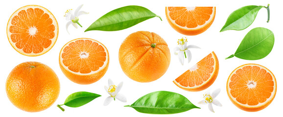 Collection of cut orange fruits, leaves and flowers, cut out - obrazy, fototapety, plakaty