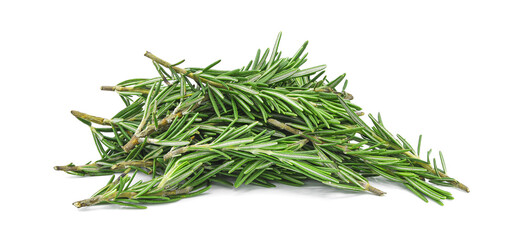 Rosemary leaves isolated on transparent background. PNG