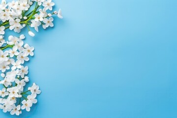 Spring Flower Frame With Copy Space On Blue Background In Flat Lay Mockup