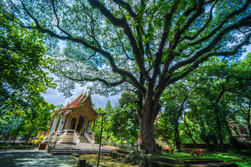 Wat Chet Yot or Wat Photharam Maha Wihan, seven pagoda temple It is a major tourist attraction in...