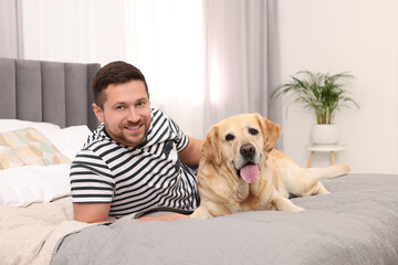 Man with adorable Labrador Retriever dog on bed at home. Lovely pet