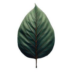 Fresh Isolated Leaf: A New Beginning, Generative AI