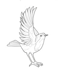 Graphic Robin bird with spread wings 